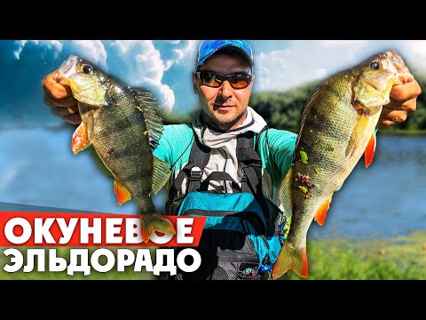 Видео: ВОДА КИПИТ ОТ ОКУНЯ! Ловля окуня на НАНОДЖИГ и МИКРОДЖИГ! Рыбалка 2020!