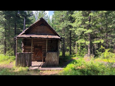 Видео: Нашли избу в лесу! Место которое удивило! Клещи и костер. Лесное озеро.