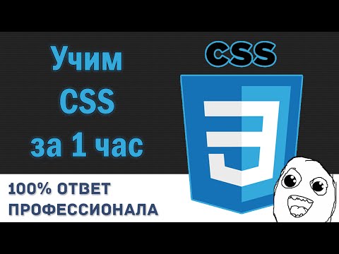 Видео: Учим CSS за 1 час! #От Профессионала