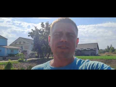 Видео: Коли правильно обрізати плодові дерева і чому так.