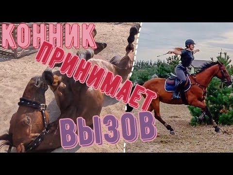 Видео: ВЫЗОВ ПРИНЯТ/КОННАЯ ВЕРСИЯ 🐴✅