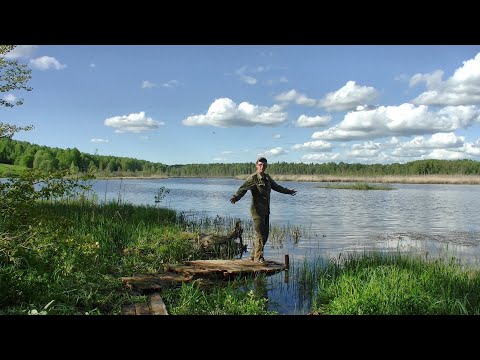 Видео: Рыбалка на озере. Ловля плотвы на поплавочку и щук на кружки #389