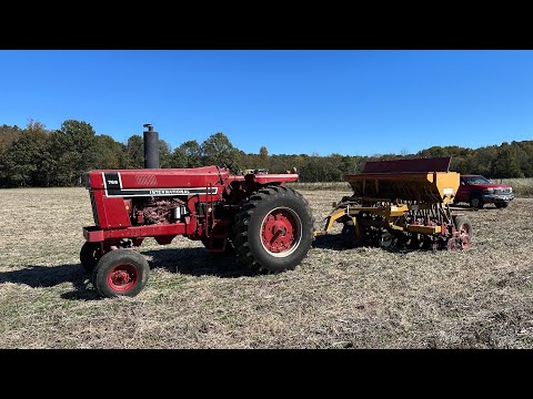 Видео: Посев озимой пшеницы