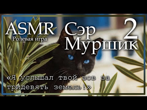Видео: ASMR [M4F] - Сэр Муршик - Первая встреча с фамильяром - [Ролевая игра]