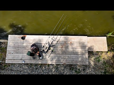 Видео: НА ЧТО ЛУЧШЕ КЛЮЕТ КАРП ? Кораблик, кобра или спомб? Ловля карпа