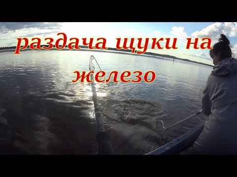 Видео: Тут тонны рыбы, щука на железо.