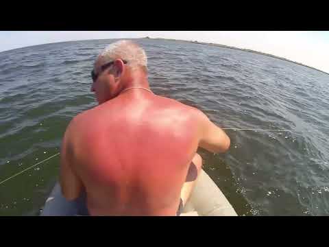 Видео: ПРОВЕРКА ПЕРЕМЁТА СОМ СУДАК Р.ВОЛГА