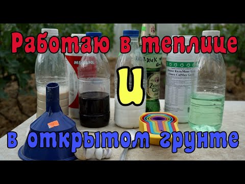 Видео: Виноград .Первая обработка по листу . Остановим антракноз .