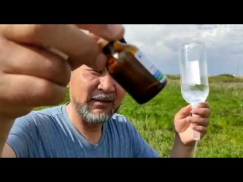 Видео: лечение пироплазмоза лошадей