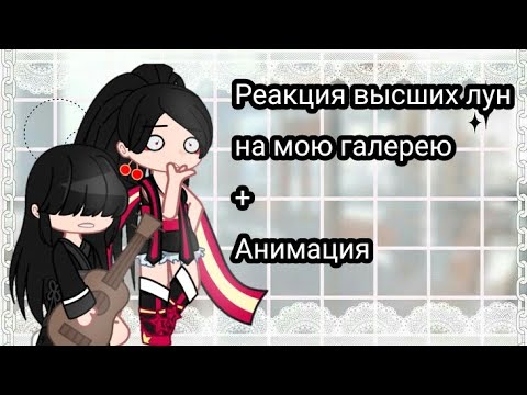 Видео: •Реакция высших лун на мою галерею+анимация•(2/?)