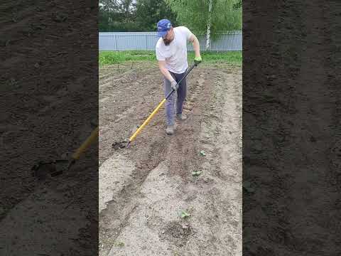 Видео: Хороший инструмент для ручной прополки 30 мая 2025 г.