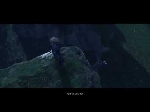 Видео: Нет прощения трусам без чести [запись]