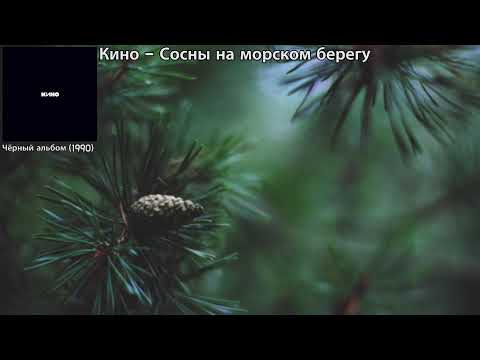 Видео: [가사 번역] 키노 - 해변의 소나무들 / Кино - Сосны на морском берегу