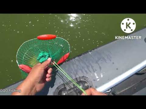 Видео: Сазан торанкулда