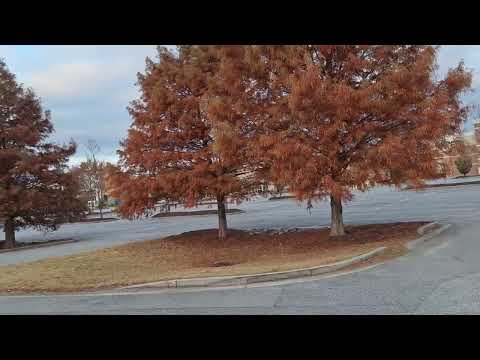 Видео: Ретрит  - мое впечатление, Сколько это Стоит ? Когда следующий ? Я уже пять раз была - Нравится 👍 🤝🙏