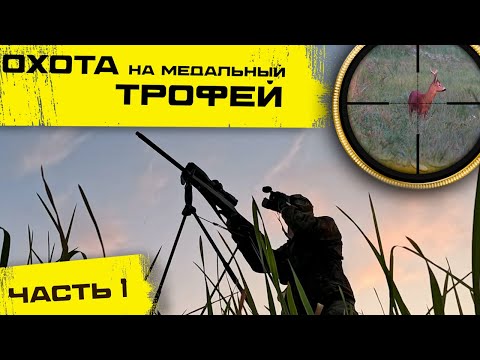 Видео: Охота на косулю с подхода. ВЗЯЛ МЕДАЛЬНЫЙ ТРОФЕЙ. 1 часть