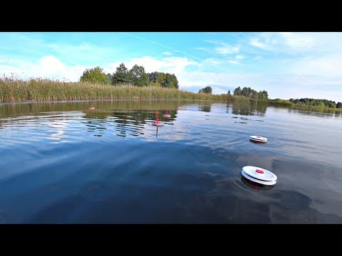 Видео: КЛЮНУЛО ЧУДО! Ловля щуки на живца проверенным способом. Рыбалка на спиннинг.