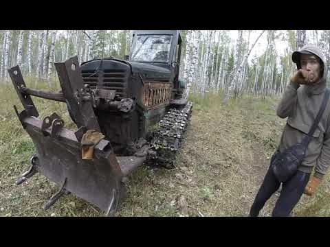 Видео: Лесной МОНСТР РВЕТ КОГТИ   😁😁👍