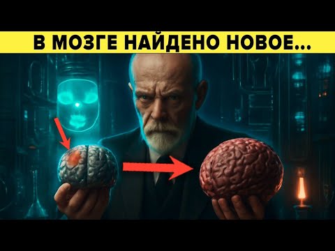 Видео: Нейрофизиологи в шоке от этого ! Сенсационные открытия о мозге