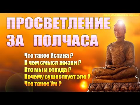 Видео: Просветление за полчаса