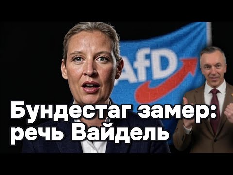 Видео: Сильнейшая речь года в Бундестаге — Вайдель против Мерца