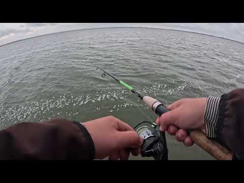 Видео: В ПОИСКАХ ХИЩНОЙ РЫБЫ В ОКТЯБРЕ НА СИЛИКОН С ОДТВОДНЫМ ГРУЗОМ 