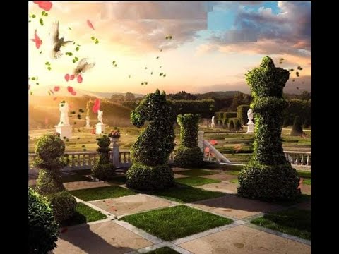 Видео: Супер шахматный сайт для поиска турниров за границей!