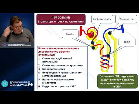 Видео: Диуретики Афончиков В.С.