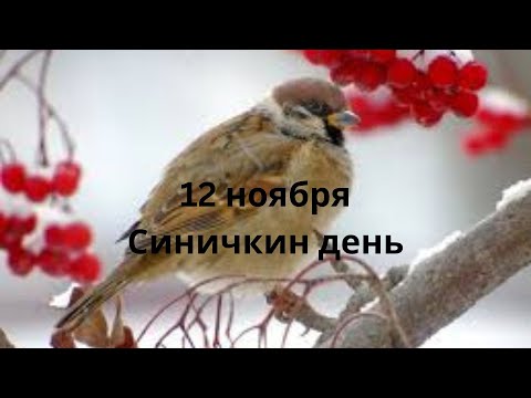 Видео: 12 ноября Синичкин день, что нельзя делать. Народные традиции и приметы.