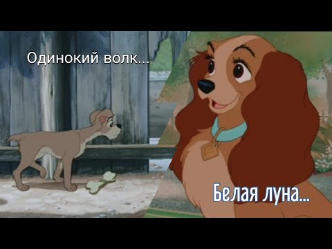 Видео: Леди и Бродяга: Клип "Белая Луна" заказ