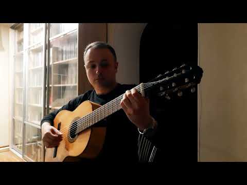 Видео: Очи чёрные/Dark eyes - Д. Петрачков/Russian seven-string guitar