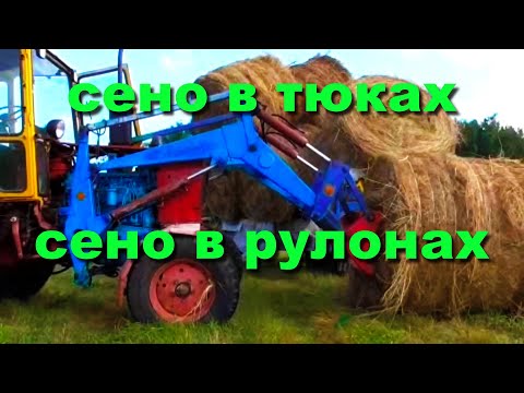 Видео: Подручное сено в рулонах или сено в тюках животным для ЛПХ