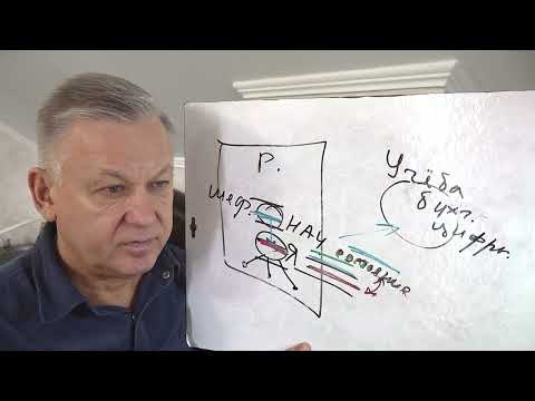 Видео: Признаки правильно выбранных жизненных опор. Психолог Азаров