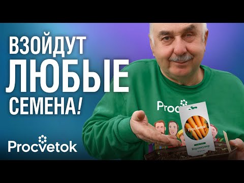 Видео: В ЭТОМ КОПЕЕЧНОМ СРЕДСТВЕ СЕМЕНА ВЗОШЛИ БЫСТРЕЕ ВСЕГО! Протестировали 11 народных стимуляторов