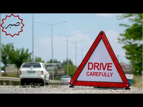 Видео: ПДД из joldo kg 9тема