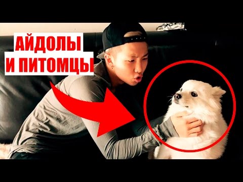 Видео: АЙДОЛЫ И ИХ ПИТОМЦЫ