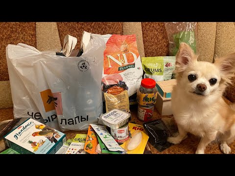Видео: Огромные покупки из зоомагазина. Для собаки, кролика, крысы и попугаев