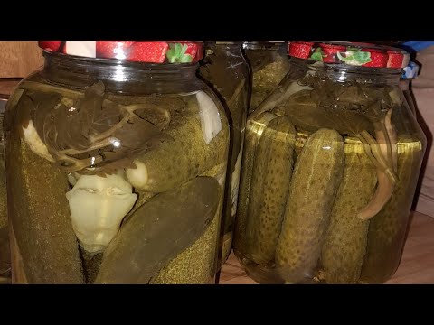 Видео: Хрустящие   огурцы на зиму за 30 минут !