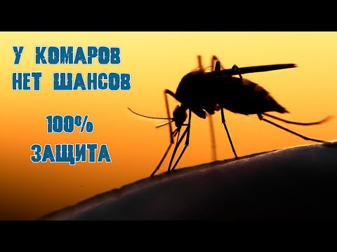 Видео: Совет охотника.  Защита от комаров, слепней, оводов, мошкары. Лучший действенный способ.