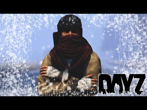 Видео: ПОГИБАЮ ОТ ХОЛОДА В DAYZ (проект SCAV)