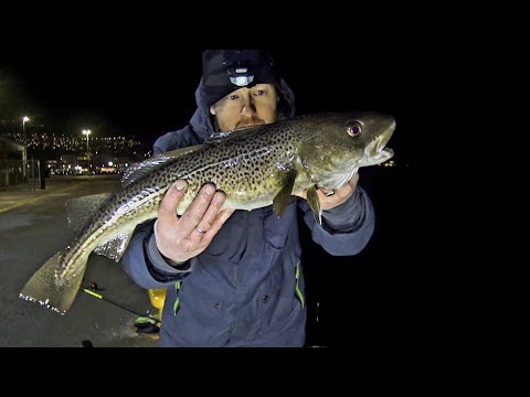 Видео: Рыбалка в Норвегии на Донку и спиннинг, НОВЫЕ ПРИМАНКИ!! рыбалка в Норвегии с берега. Рыбалка 2024.