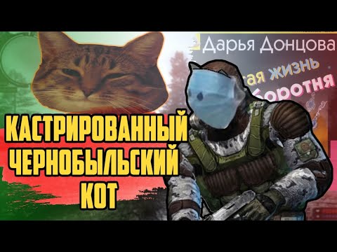 Видео: Сталкер История Кота. Вся суть
