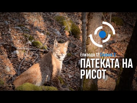 Видео: Радиус | Епизода 12, Сезона 02-Патеката на рисот/Radius | Epizodi 12, Sezoni 02-Rruga e rrëqebullit