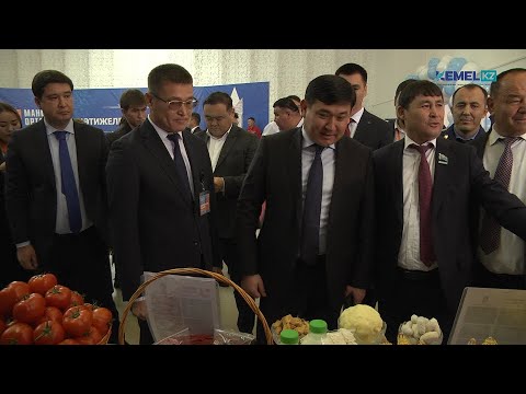 Видео: ОРДАБАСЫ АУДАНЫНДА 7200-ДЕН АСТАМ АЗАМАТ ЖҰМЫСПЕН ҚАМТЫЛДЫ