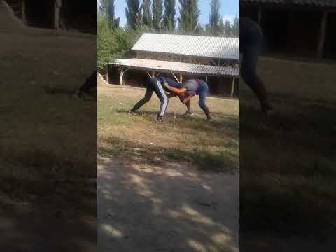 Видео: Карача крош