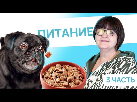 Видео: Питание от щенка до взрослой собаки - 3 Часть - Как кормить собаку сухим кормом? - Питание собаки