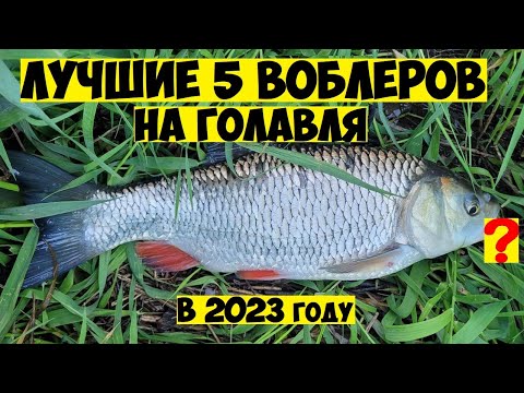 Видео: ТОП 5 Лучшие ВОБЛЕРЫ на ГОЛАВЛЯ в 2023 году! Ловля Голавля на Спиннинг! Рыбалка на голавля! Голавль