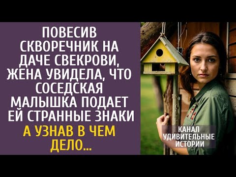 Видео: Повесив скворечник на даче свекрови, увидела, что соседская малышка подает ей странные знаки…
