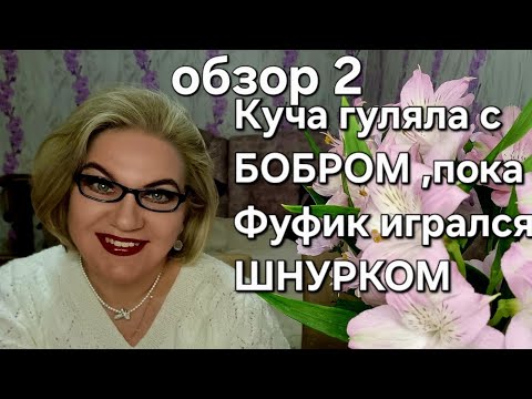 Видео: Куча гуляла с БОБРОМ, пока Фуфик игрался ШНУРКОМ🤣