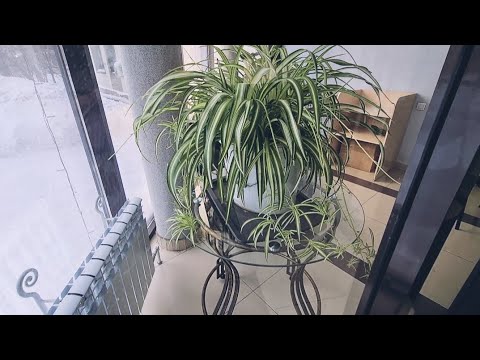 Видео: КАРАГАНДА, СТАРЫЙ ГОРОД#караганда